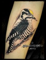 018a-tiere-_tattoo-hamburg-skinworxx